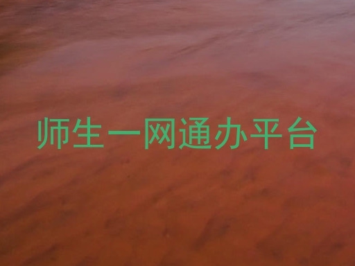 师生一网通办平台