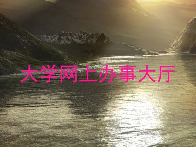 大学网上办事大厅