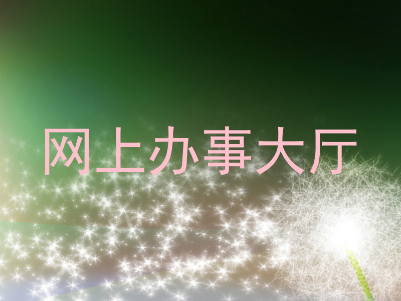 网上办事大厅