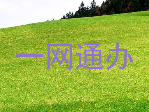 一网通办