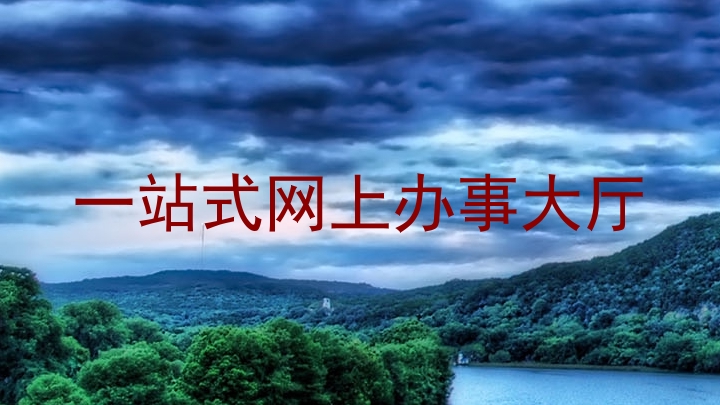 一站式网上办事大厅