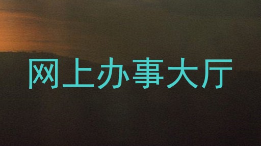 网上办事大厅