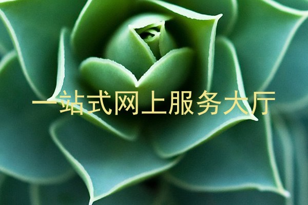 一站式网上服务大厅
