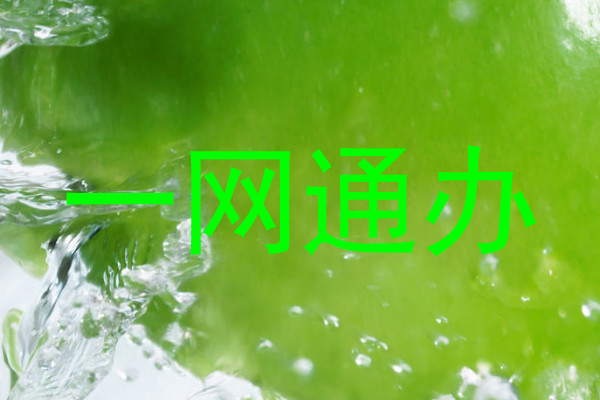 一网通办
