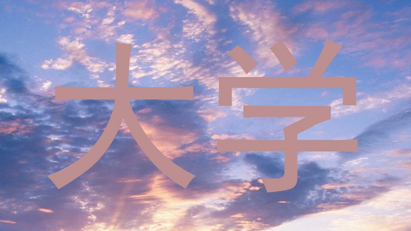 大学
