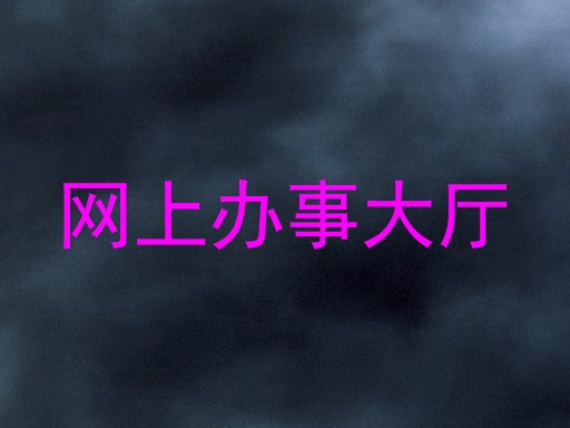 网上办事大厅