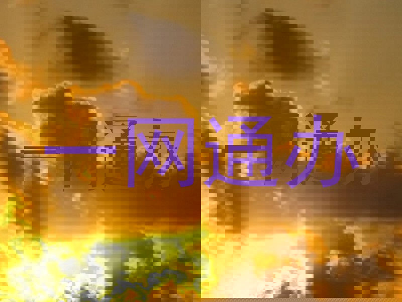一网通办