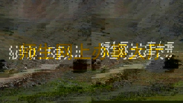 师生网上办事大厅