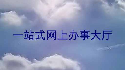 一站式网上办事大厅