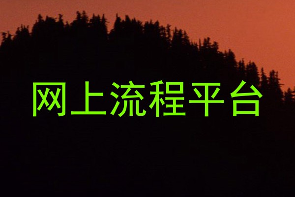 网上流程平台