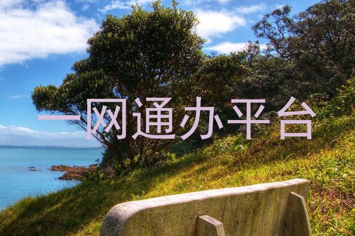 一网通办平台