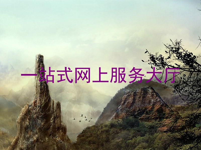 一站式网上服务大厅