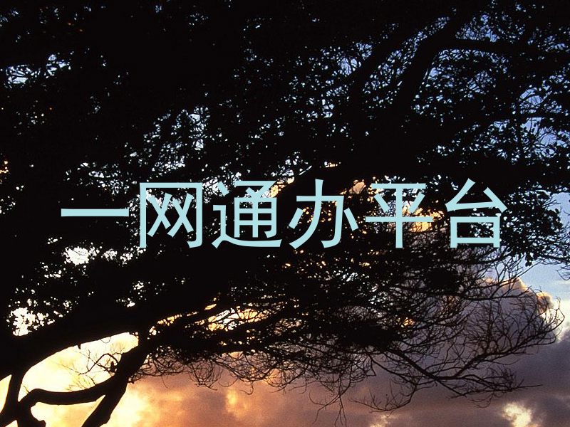 一网通办平台