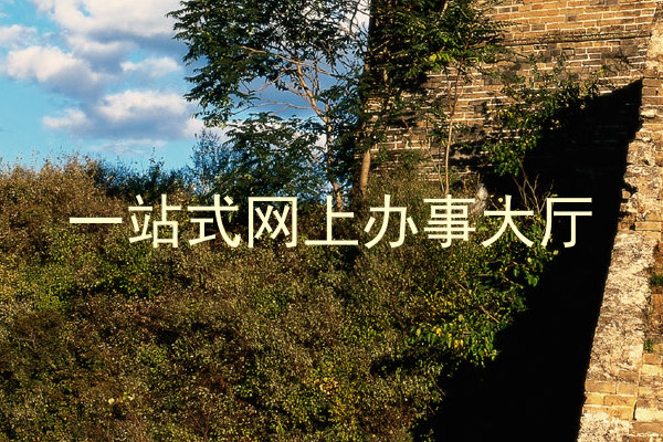 一站式网上办事大厅