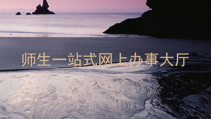师生一站式网上办事大厅