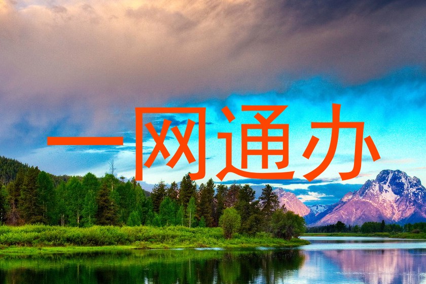 一网通办