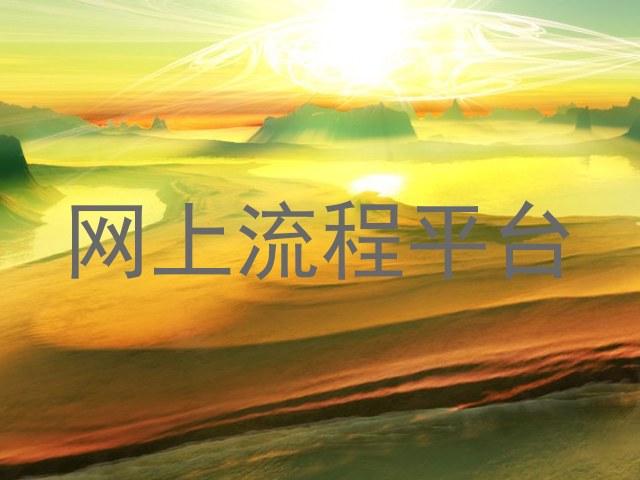 网上流程平台
