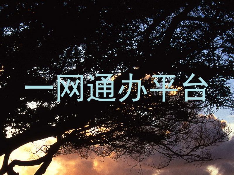 一网通办平台