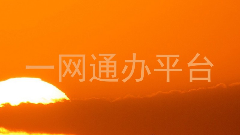 一网通办平台