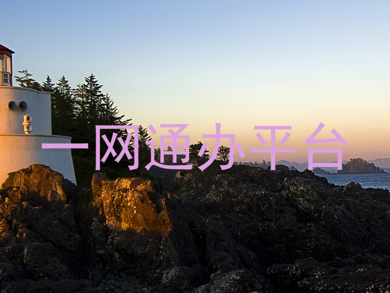 一网通办平台
