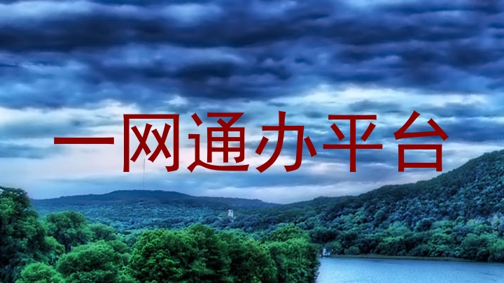 一网通办平台