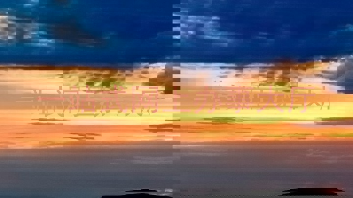 一站式网上办事大厅