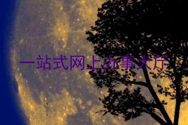 一站式网上办事大厅