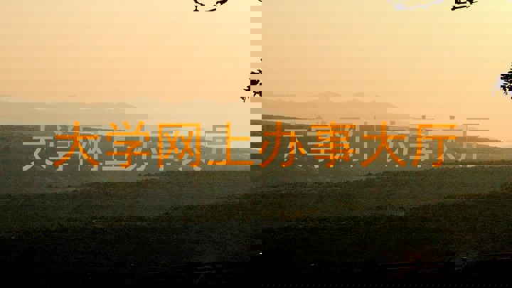 大学网上办事大厅