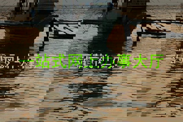 一站式网上办事大厅