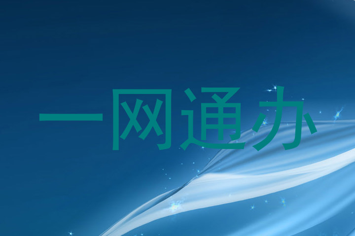 一网通办