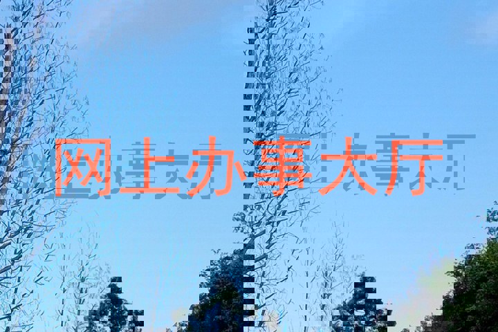 网上办事大厅