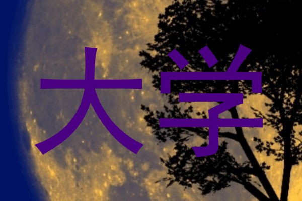 大学