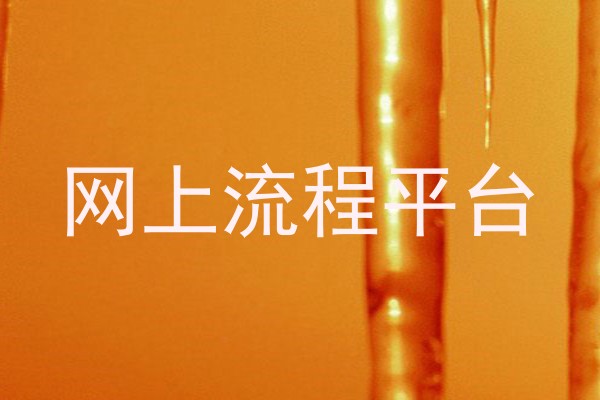 网上流程平台