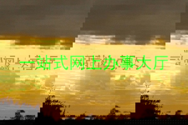 一站式网上办事大厅