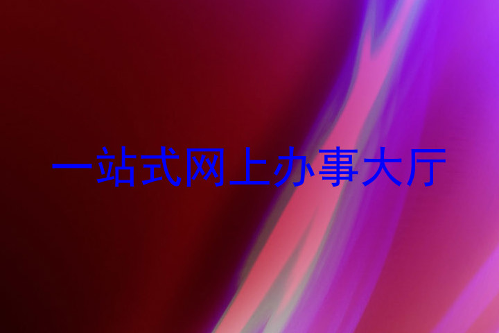 一站式网上办事大厅
