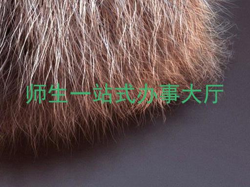 师生一站式办事大厅
