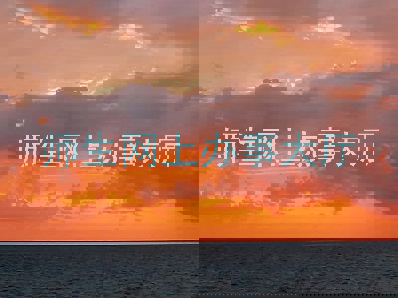 师生网上办事大厅