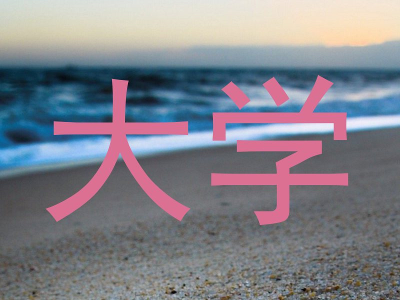 大学