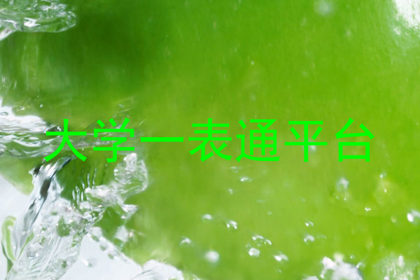 大学一表通平台