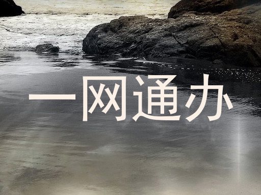 一网通办