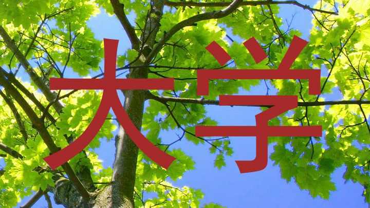 大学
