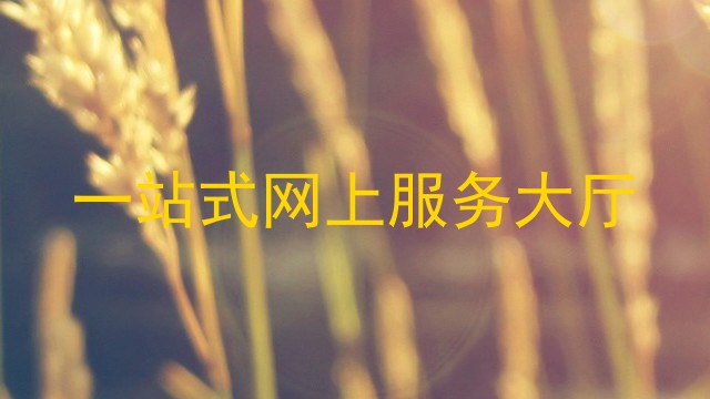 一站式网上服务大厅