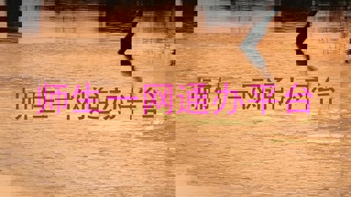 师生一网通办平台