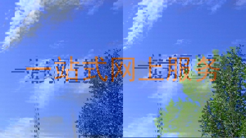 一站式网上服务