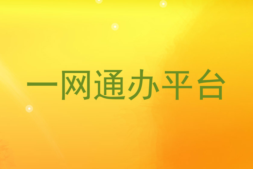一网通办平台