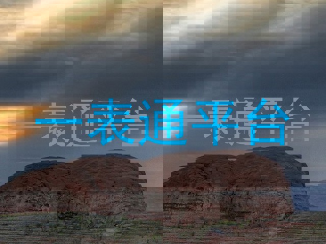 一表通平台