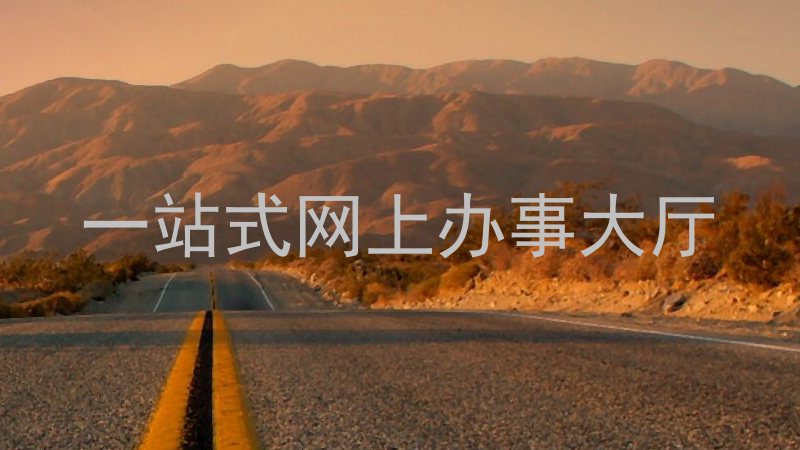 一站式网上办事大厅