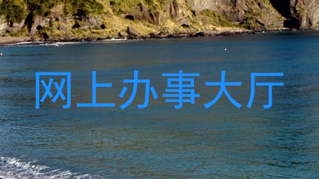网上办事大厅
