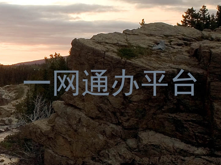一网通办平台