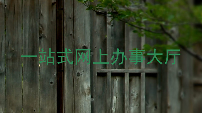 一站式网上办事大厅